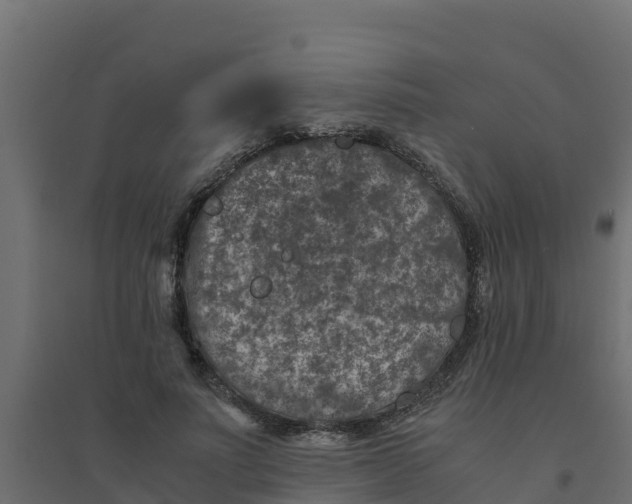 X0000094340691200711241852