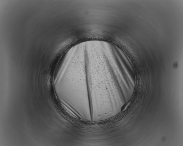 X0000094340692200711241852