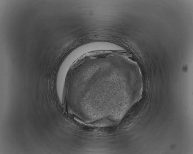 X0000094340697200711241852