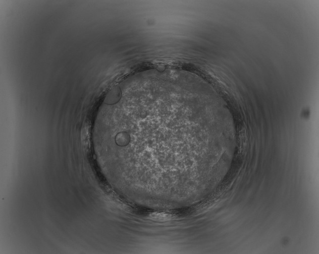 X0000094340699200711241852