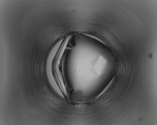 X0000094340700200711241852