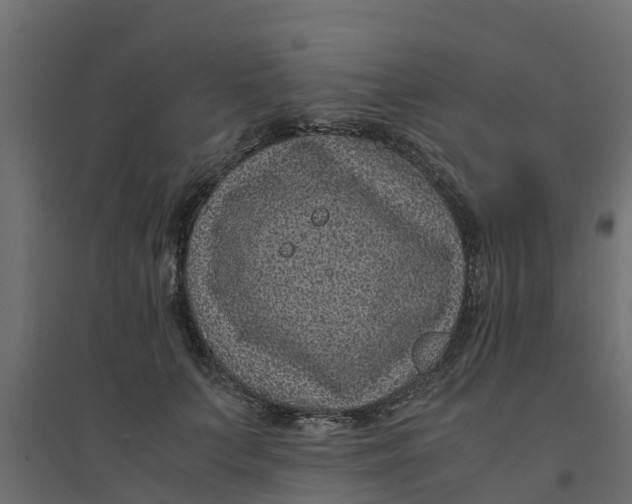 X0000094340703200711241852