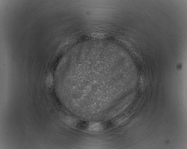 X0000094340705200711241852