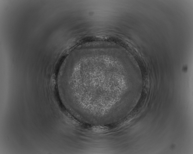 X0000094340707200711241852