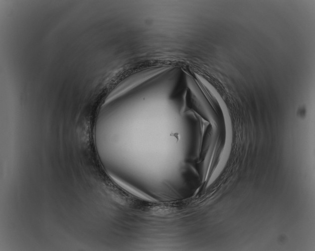 X0000094340708200711241852