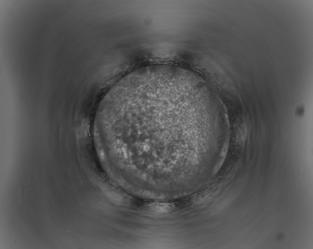 X0000094340711200711241852