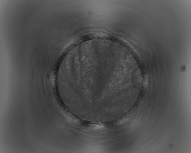 X0000094340715200711241852