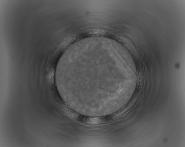 X0000094340717200711241852