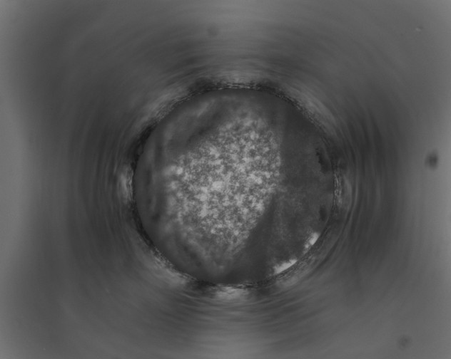 X0000094340718200711241852