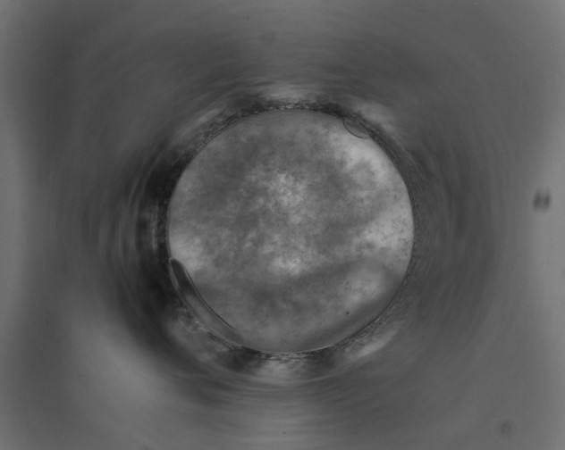 X0000094340720200711241852