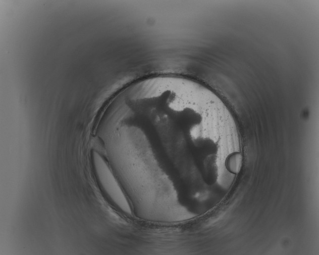 X0000094340721200711241851