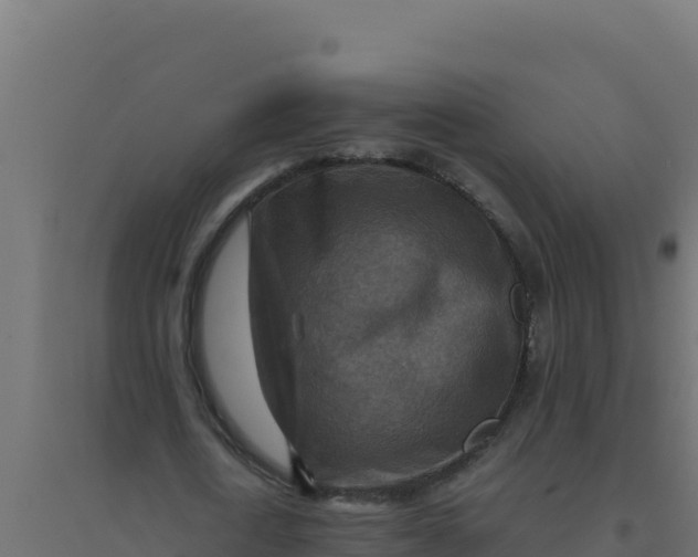 X0000094340722200711241851