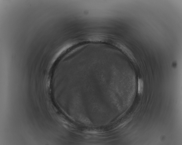 X0000094340723200711241851