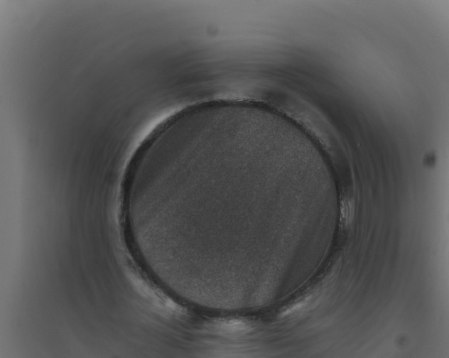 X0000094340724200711241851