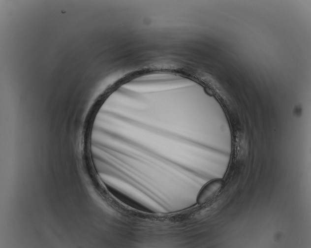 X0000094340726200711241851