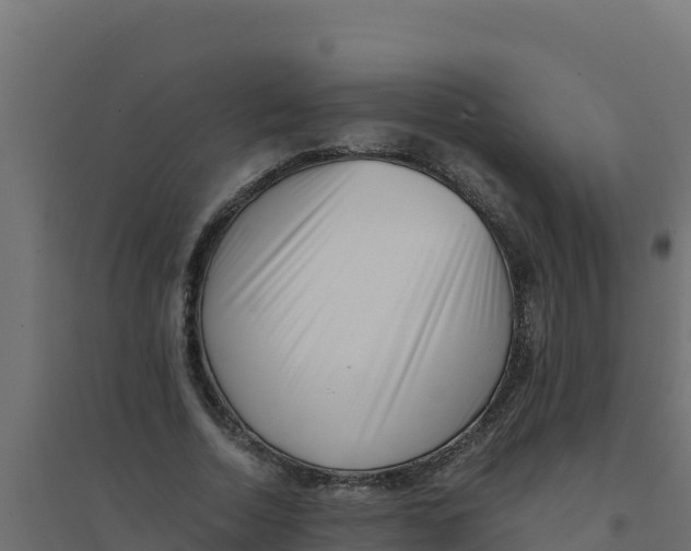 X0000094340730200711241851