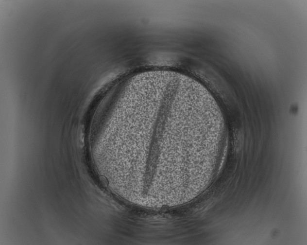 X0000094340731200711241851