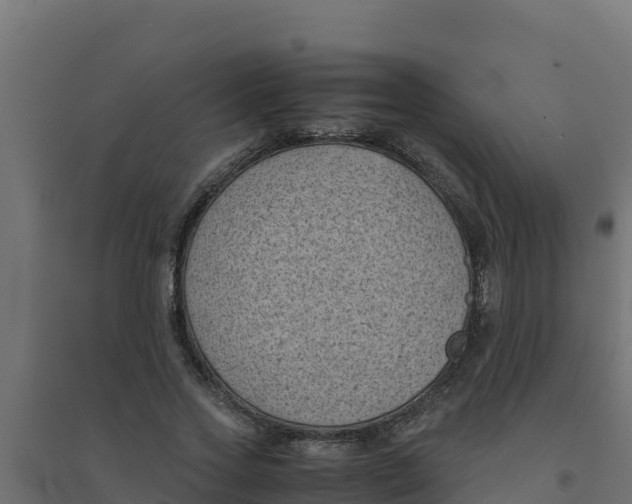 X0000094340733200711241851