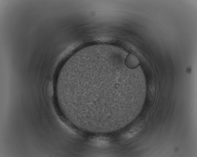 X0000094340734200711241851