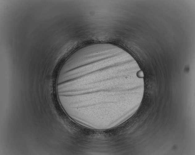 X0000094340738200711241851