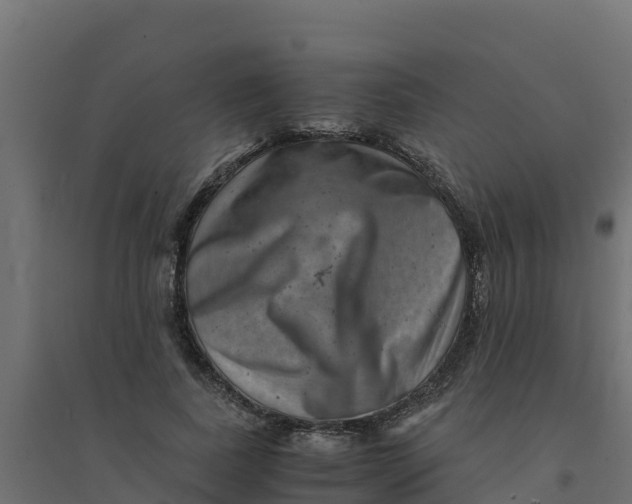 X0000094340739200711241851