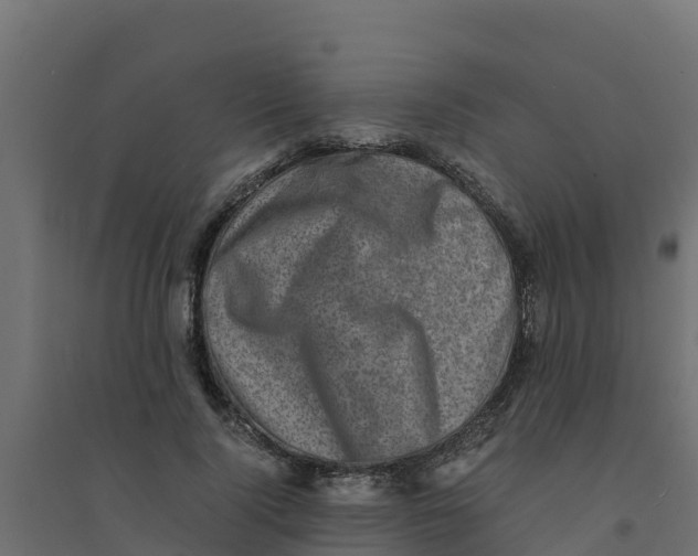 X0000094340740200711241851