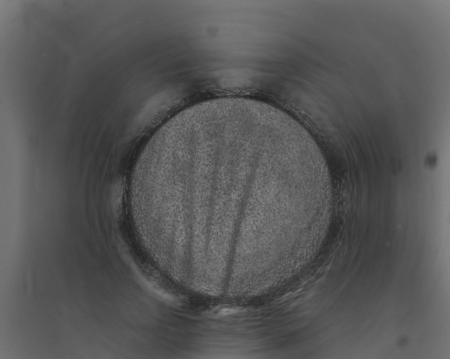 X0000094340742200711241851