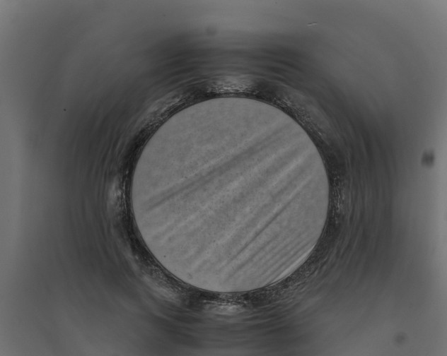 X0000094340743200711241852