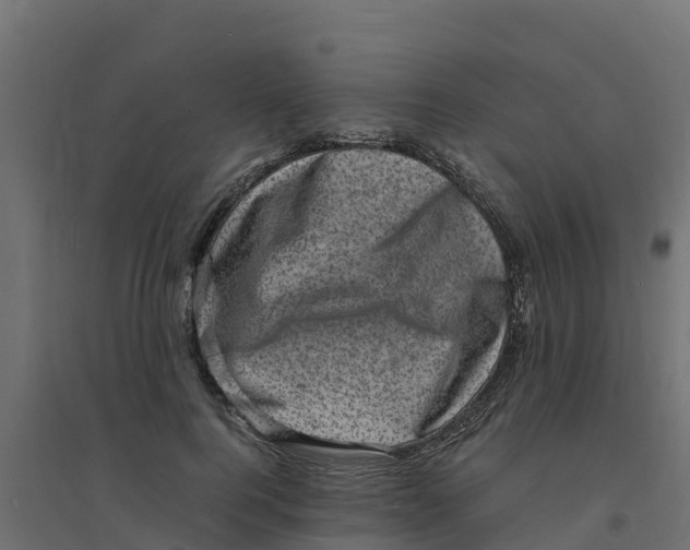 X0000094340744200711241852