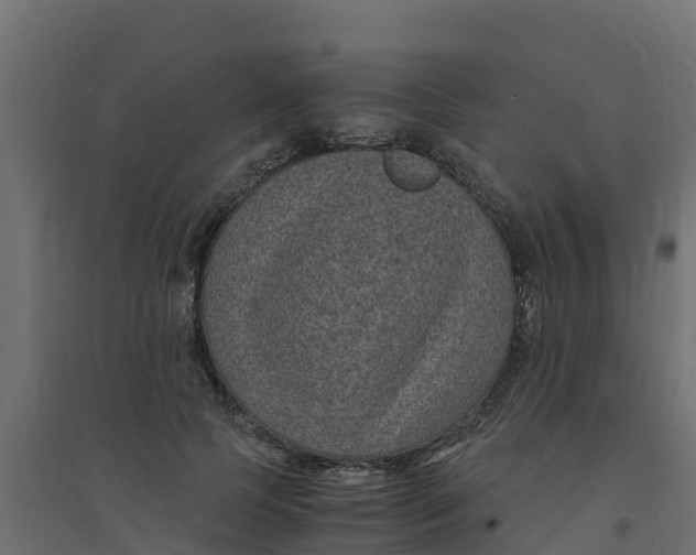 X0000094340745200711241852