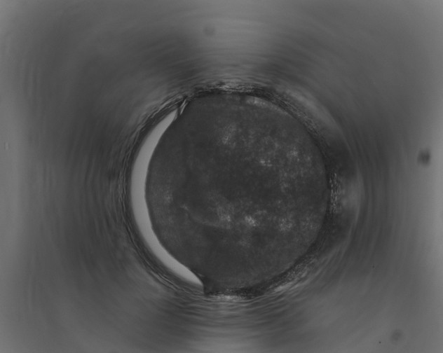 X0000094340748200711241852