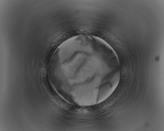 X0000094340751200711241852