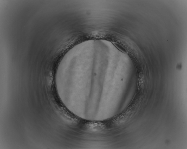 X0000094340752200711241852