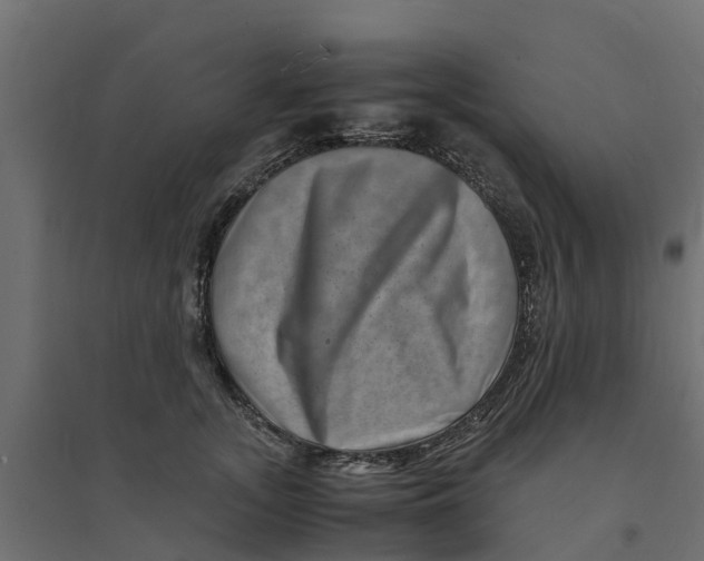 X0000094340755200711241852