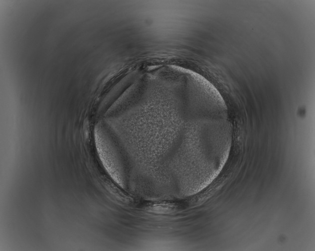 X0000094340758200711241852