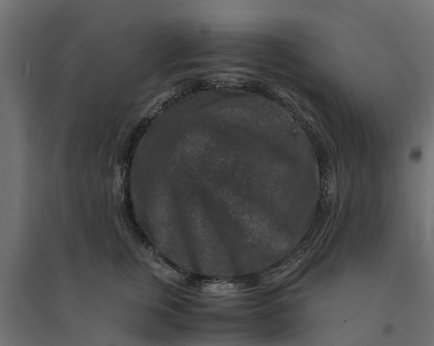 X0000094340759200711241852