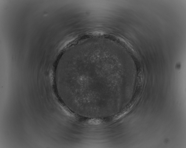 X0000094340762200711241852