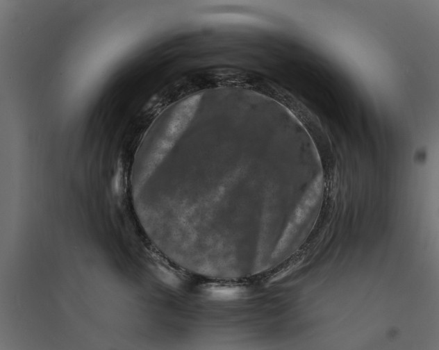 X0000094340763200711241852