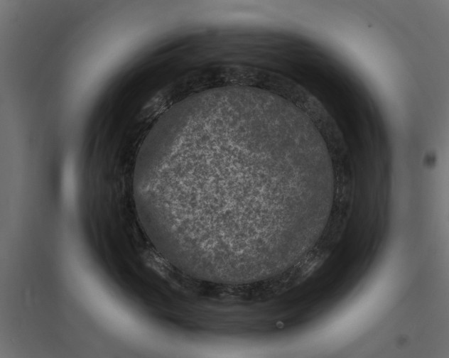 X0000094340765200711241852