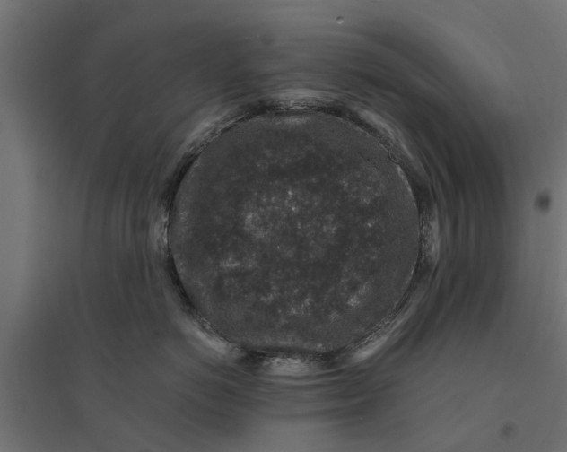 X0000094340766200711241852