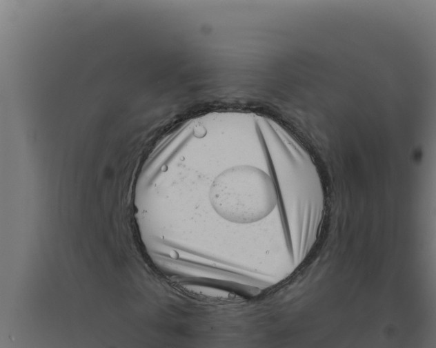 X0000094340769200711241851