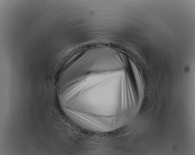 X0000094340773200711241851