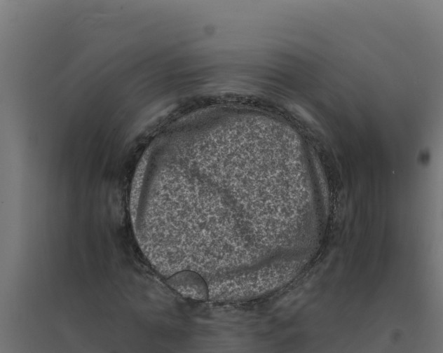 X0000094340774200711241851