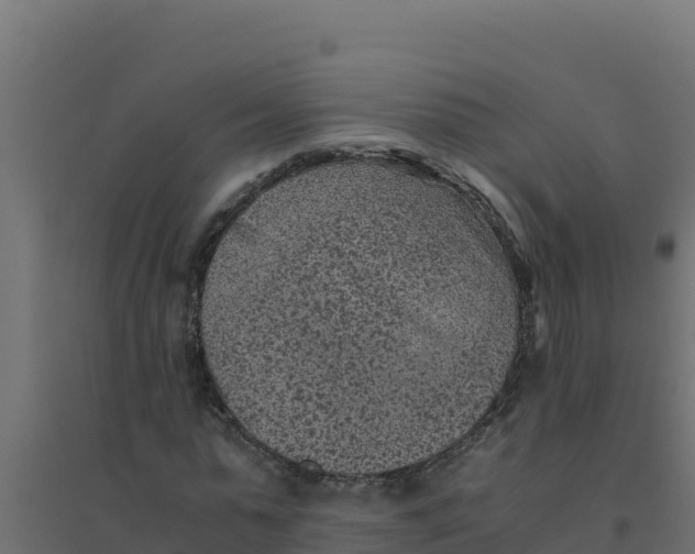 X0000094340775200711241851