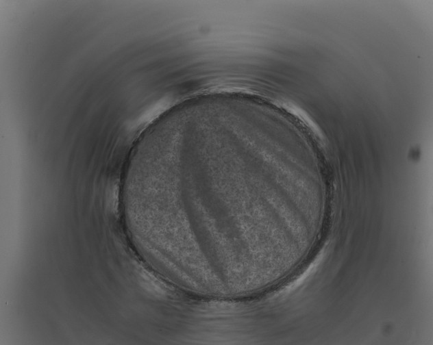 X0000094340777200711241851