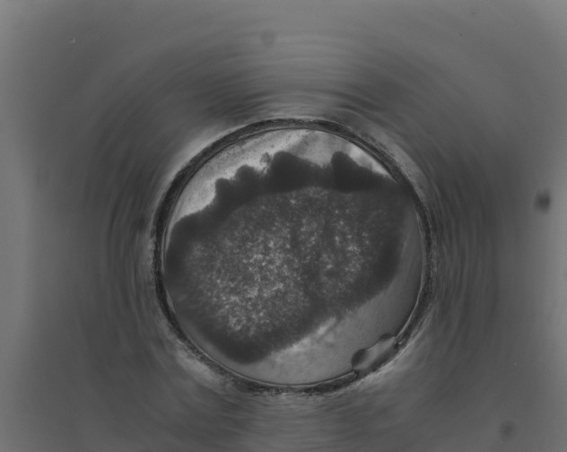 X0000094340779200711241851