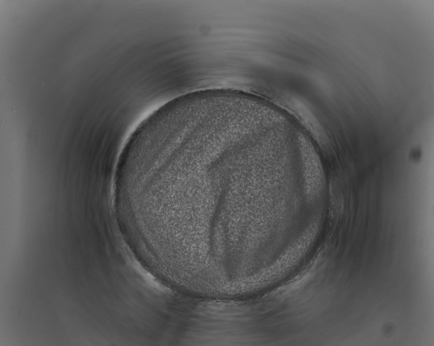 X0000094340780200711241851