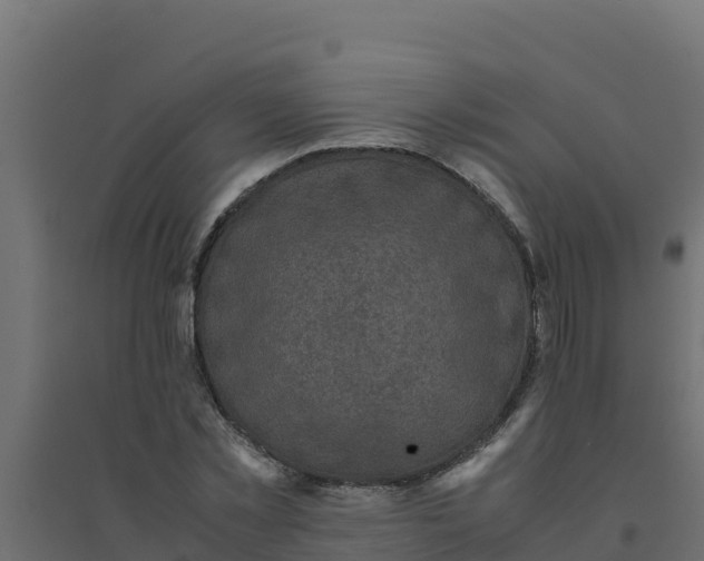 X0000094340781200711241851