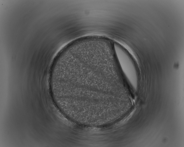 X0000094340783200711241851