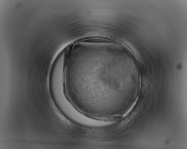 X0000094340788200711241851